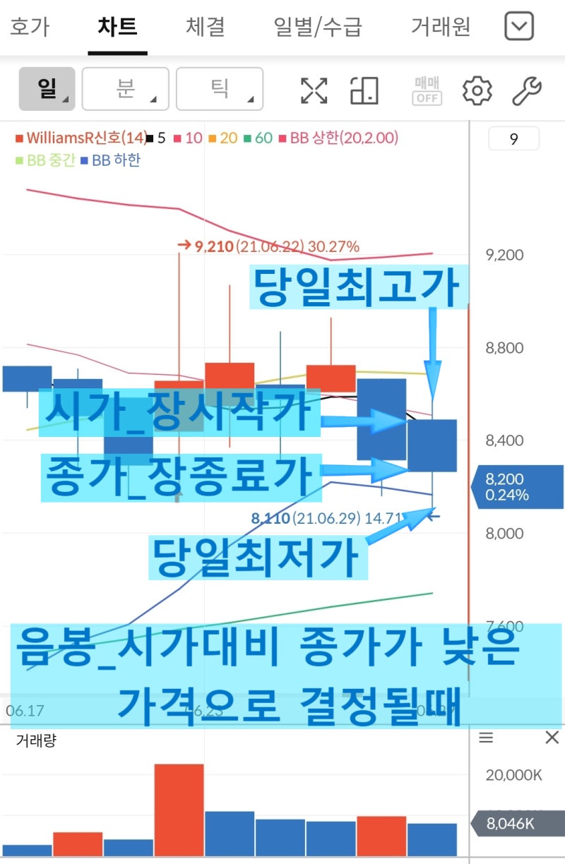 주식차트 보는 법 양봉,음봉 기본에 일봉/분봉/주봉/틱 주린이학습 : 네이버 블로그