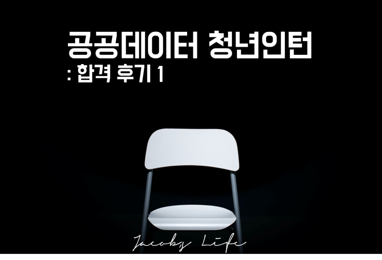  '21 공공데이터 청년인턴(일경험 수련생) 합격 후기, 자기소개서(지원서)