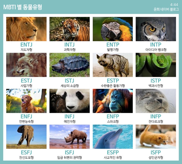  MBTI 동물유형 (동물유형 검사)