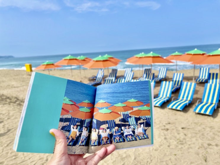  강릉여행 2박3일 코스(강릉중앙시장, 월화거리, BTS 정류장, 도깨비촬영지, 오죽헌, 강릉 헌화로, 삼척 맹방해수욕장)
