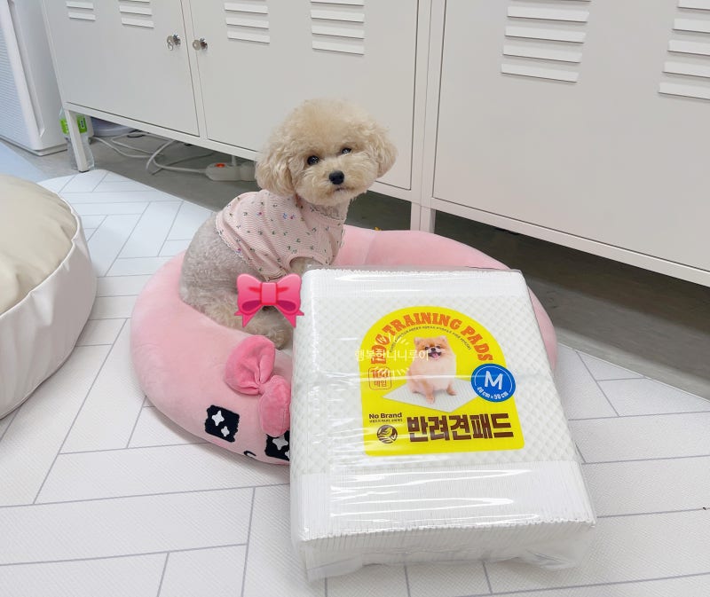 강아지 배변패드 , 흡수력 좋은 노브랜드 애견패드