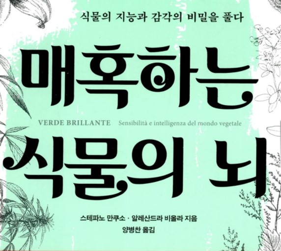  [60] 매혹하는 식물의 뇌 / 스테파노 만쿠소