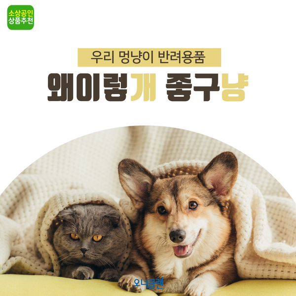  [소상공인 추천상품] 반려용품 / 애견용품
