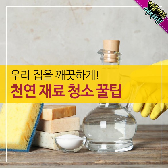  천연재료 청소꿀팁