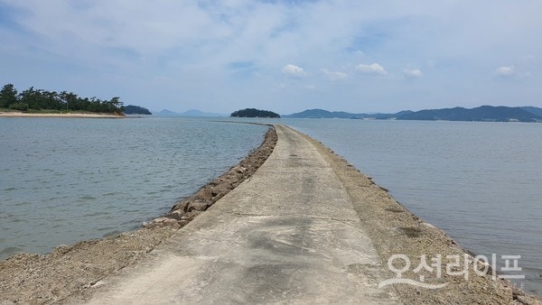 직녀섬 사진 5