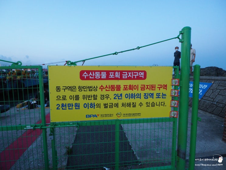  또 다시 추가 부산 낚시금지 구역 영도 신방파제(북빈물량장대체부두)