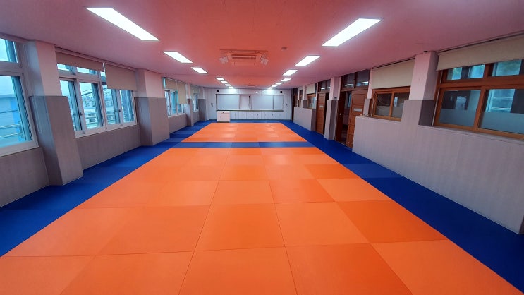  전북 익산 이리초등학교 소규모실내체육시설 - 다오코리아 안전 바닥매트(다목적 스포츠 매트) & 안전 보호벽 매트(안전패딩) 설치