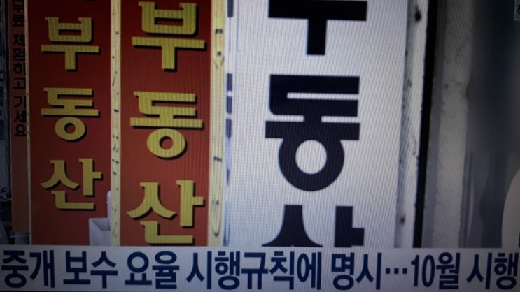 부동산 중개수수료 개편 요율 적용시기