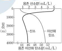  해수의 용존 기체