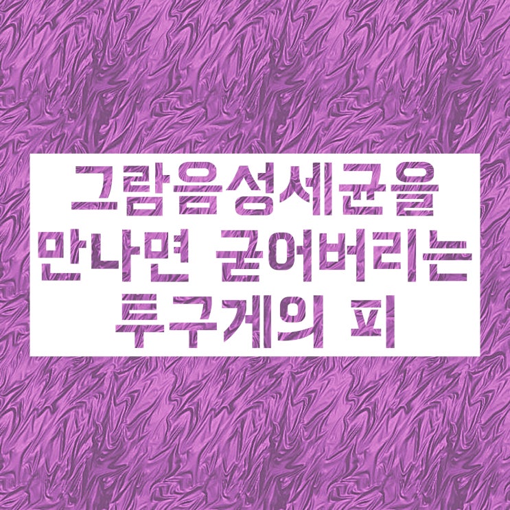 투구게 피, 백신 재료로 사용된다고? 투구게 피, 백신 재료로 사용된다고?
