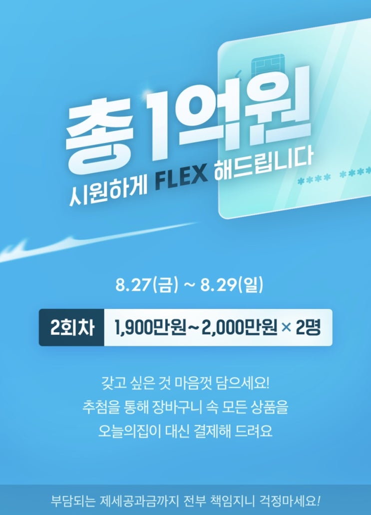  1억원 플렉스 장바구니 오늘의 집 당첨 기원!!