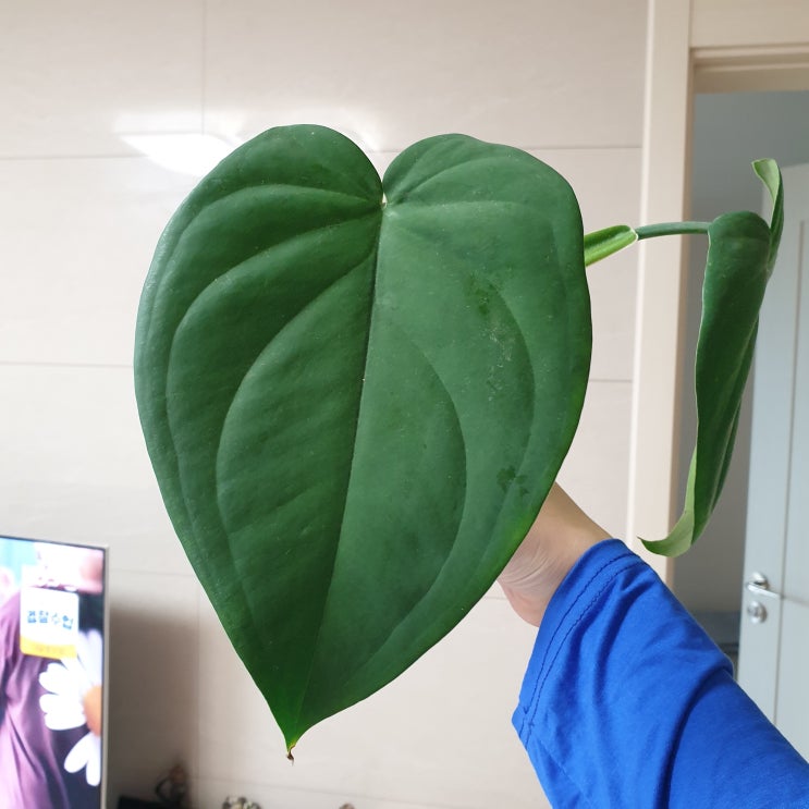  며칠 사이에 많은 일이 일어났어요.