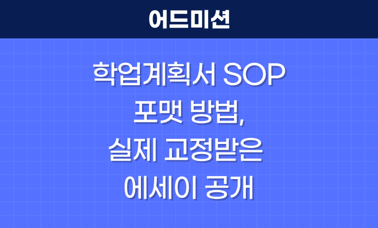 학업계획서 SOP 포맷 방법, 실제 교정받은 에세이 공개