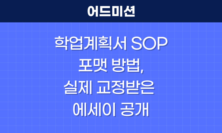  학업계획서 SOP 포맷 방법, 실제 교정받은 에세이 공개