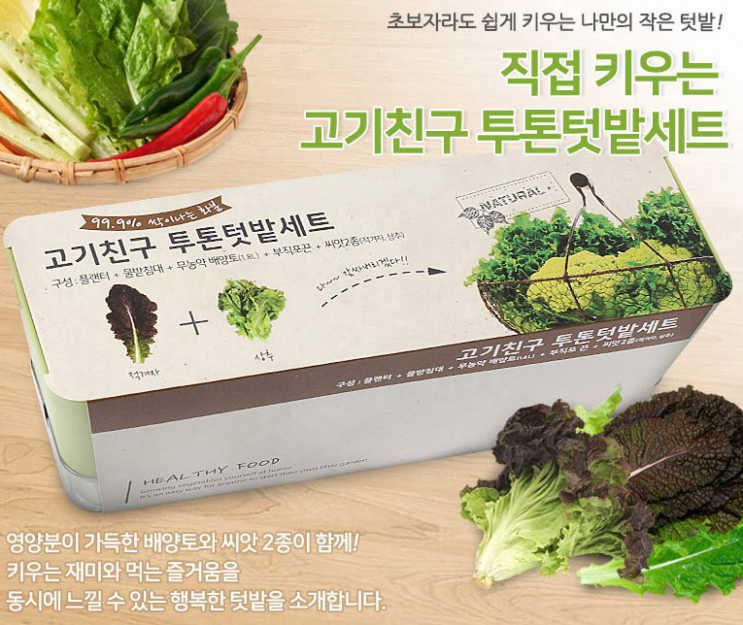  직접재배 가능한 텃밭세트 가족 기념품 (페이백 이벤트): 아이디어 노벨티 소소한선물, 요즘뜨는판촉물, 인기사은품,이벤트상품, 실용적인선물, 재미있는 방문객 답례품, 인쇄가능