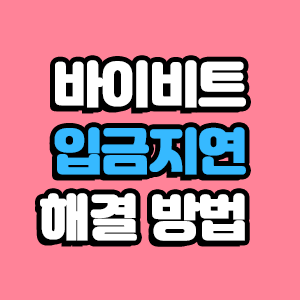  바이비트 입금안됨 입금지연 해결 방법