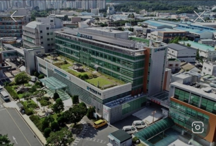  대구의료원 선별 진료소 코로나 검사 후기, 코로나 검사 가격 및 운영시간, 검사결과시간