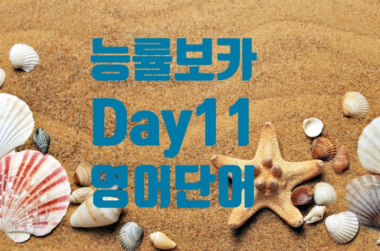  [Day 11] 능률 보카 기본 영어 단어 읽기 [1/4/7/14] 주기로 반복해서 영어 단어와 친해지기.