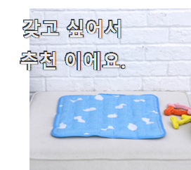  요즘대세 강아지쿨매트 핫한 꿀템 추천합니다!