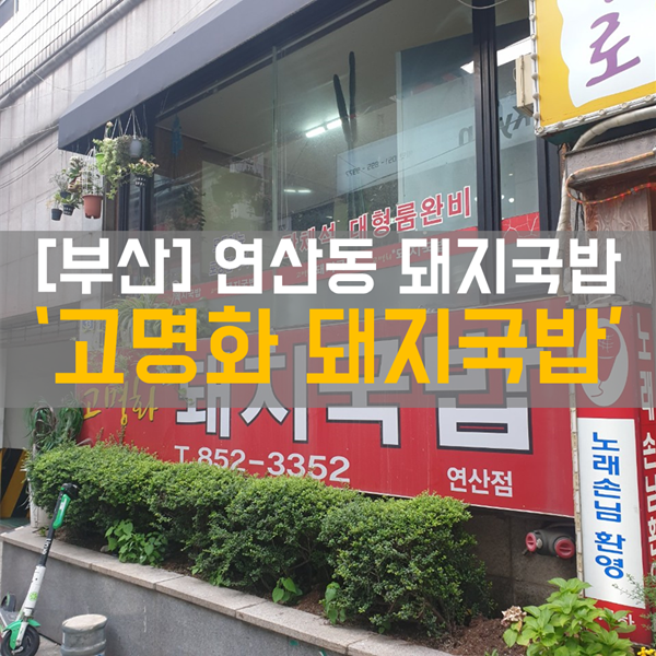  [연산동 맛집] 식사_연산동 돼지국밥 '고명화 돼지국밥'