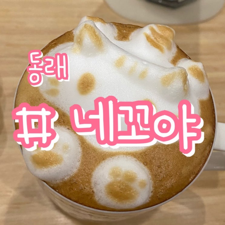  [동래카페] 네꼬야 카페/ 고양이 라떼아트가 귀여운 카페 !!