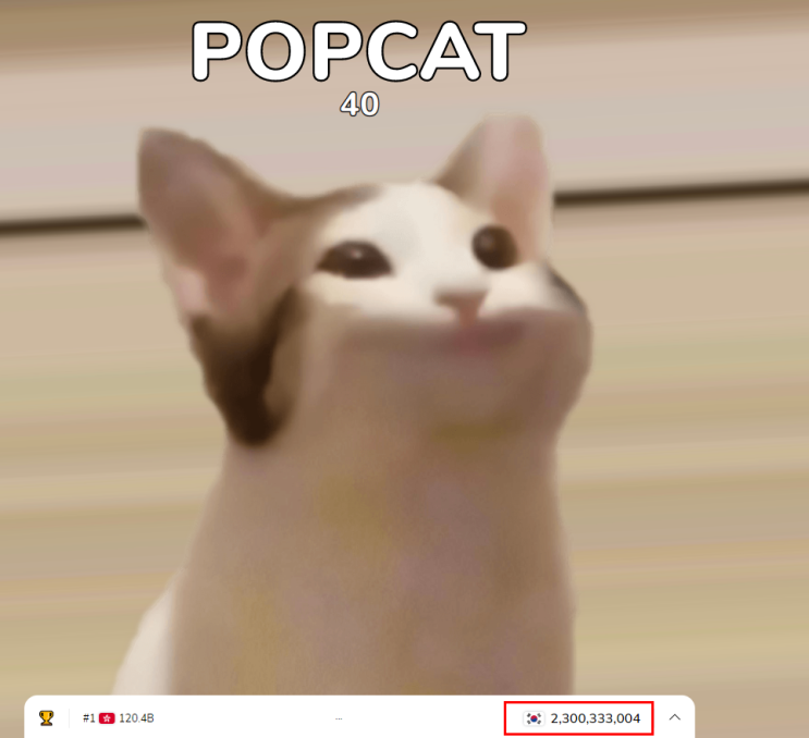  팝캣 POPCAT 게임 국가간 전쟁발발(ft.한국인저력)
