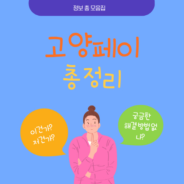  고양페이 가맹점 사용처 및 잔액조회 방법 총정리