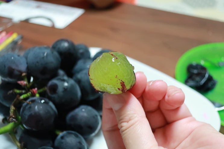  계산동 과일맛집 계산시장 성원청과 실패없는 선택