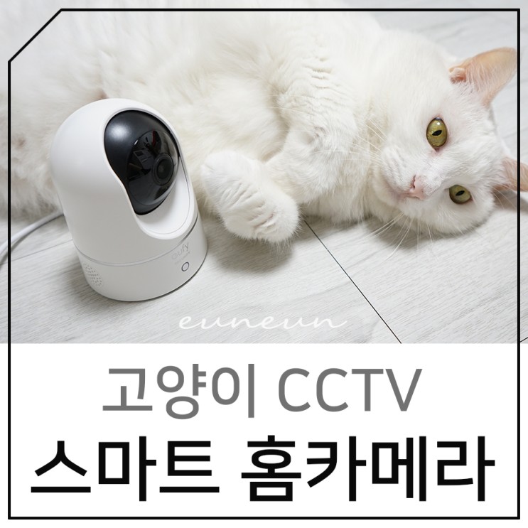 스마트 홈카메라 앤커 유피 고양이 CCTV로 사용해보니