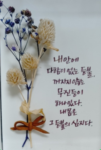  내마음보고서의 치유 시, 무진등