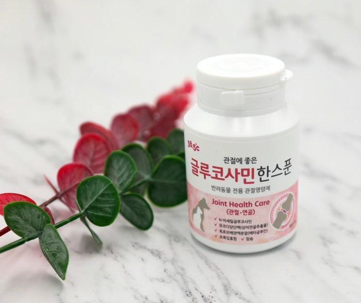  애견관절영양제 기호성 좋은 글루코사민 한스푼으로 챙겨요!