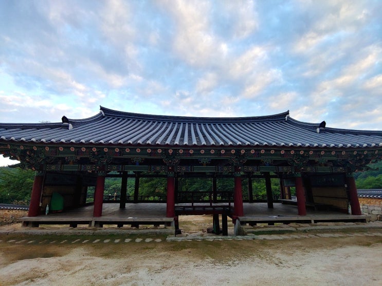  [경북경산] 알찬 포토존이 있는 하양 환성사에서 여유를(봄엔 겹벚꽃, 여름엔 배롱나무)