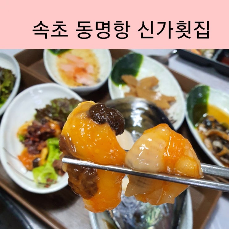  속초 현지인 맛집 동명항횟집  영금정 근처 속초 신가횟집