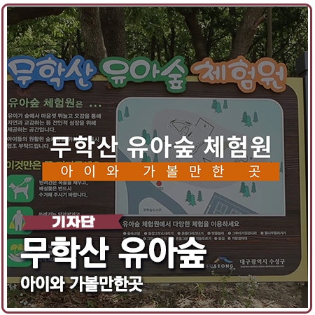 무학숲 도서관 옆 무학산 유아숲 체험원 무학숲 도서관 옆 무학산 유아숲 체험원