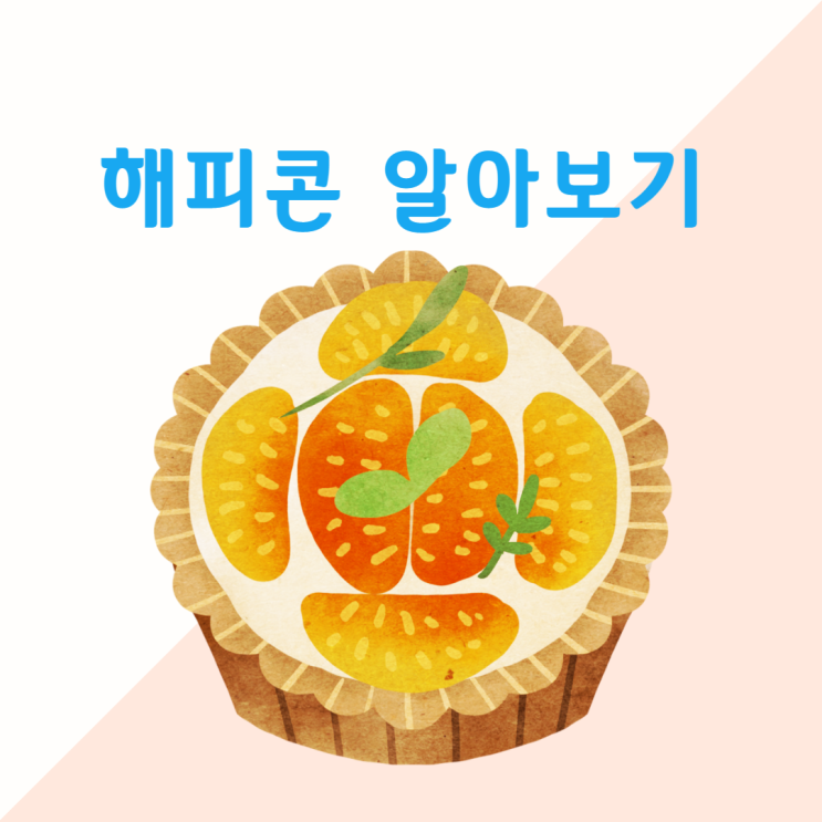  해피콘 사용처/사용 방법/유효기간 알아보기