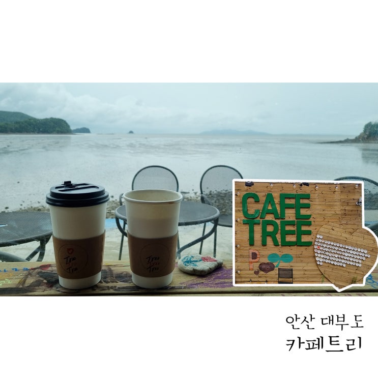  대부도 카페 차박의 성지 카페트리 커피도 맛있어요
