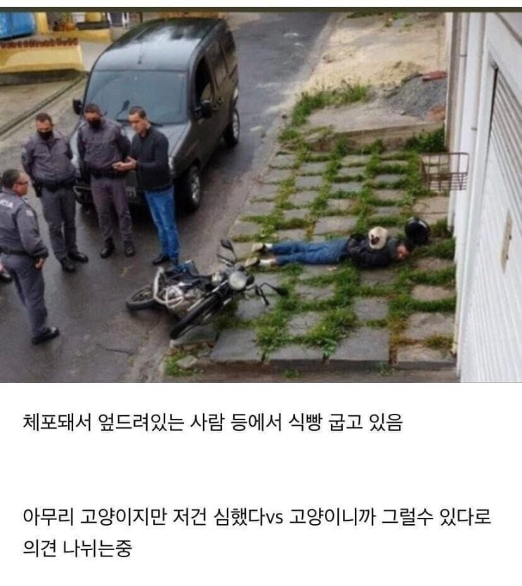  인간적으로 너무하다 vs 아니다로 논란중인 사진