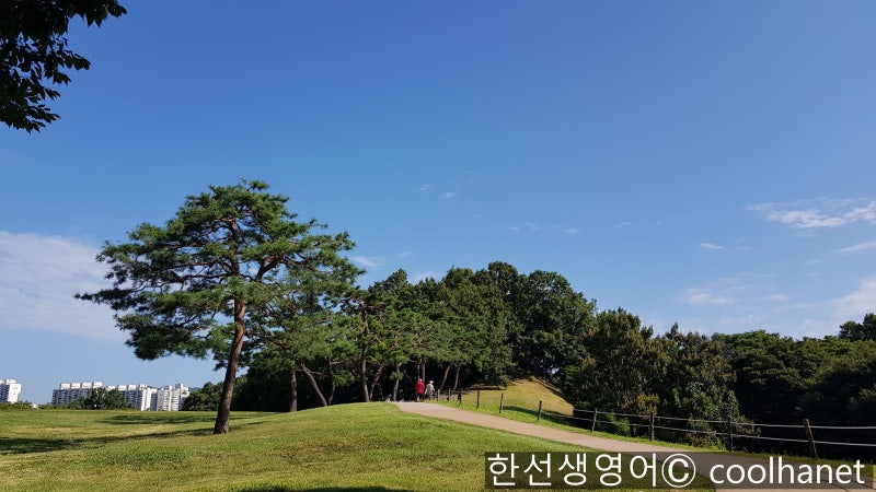 영어속담 뜻이 있는 곳에 길이 있다 Where There Is A Will There Is A Way 지재유경 유지처재도 유지경성 토니  로빈스 폴 오스터 버니 시걸 명언 사자성어 : 네이버 블로그