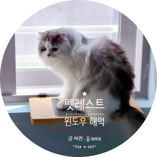  펫레스트 원목 고양이 선반을 아시나요? 침대도 되고 스크래쳐도 되는 창문해먹.