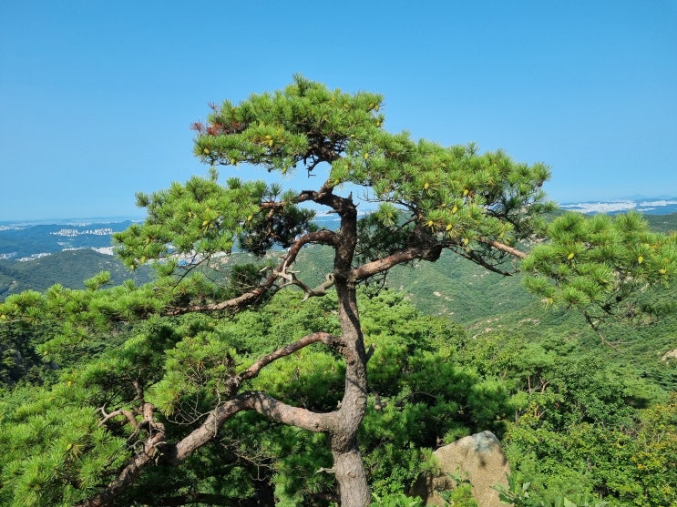 비즈맨의 요즘 일상...