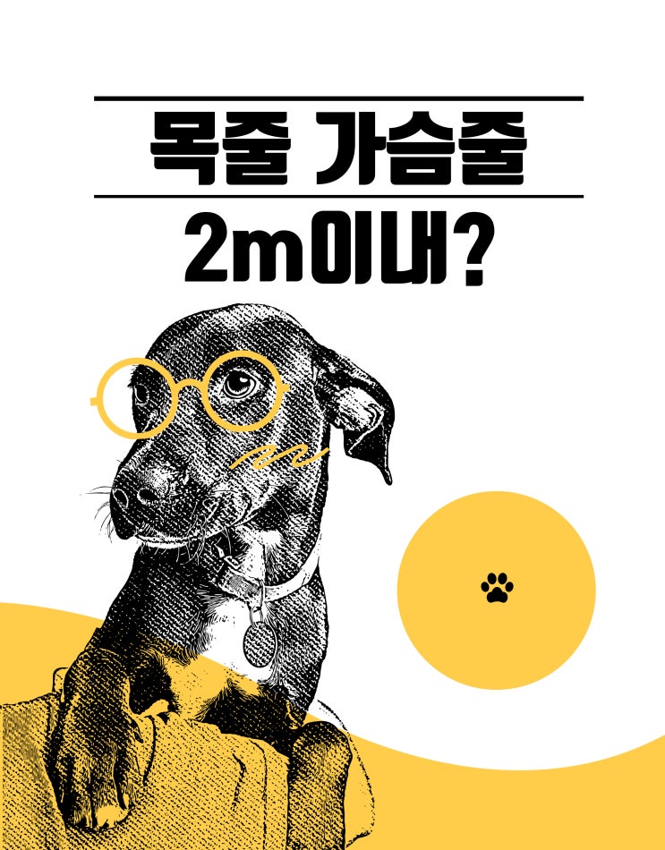  [동물보호법 바로알기 6편] 목줄 가슴줄의 길이는 2미터 이내여야 하는가?