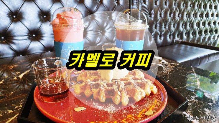 대전 도룡동 카페, 대전 크로플 맛집인 카멜로 커피 도룡 5호 직영점