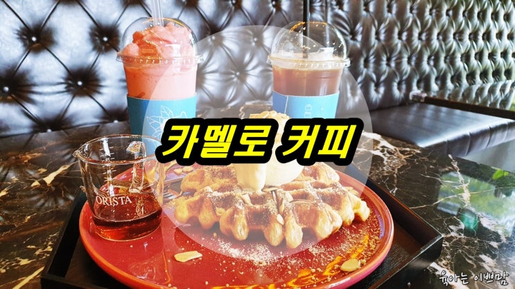  대전 도룡동 카페, 대전 크로플 맛집인 카멜로 커피 도룡 5호 직영점