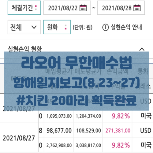  [라오어 무한매수법]한 주간 항해일지 후기! 바겐세일 이후에는 항상 익절이(파파파이팅의 파이프라인)