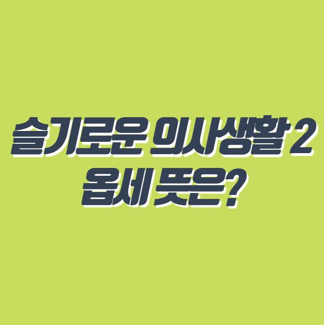  슬의생2에서 나온 옵세하다 옵새 뜻은?