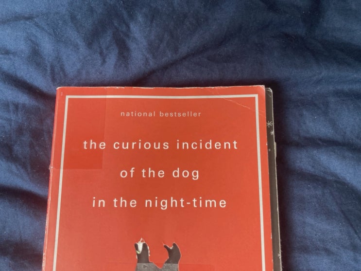  The curious incident of the dog in the night-time 별나도 괜찮아 함께 보면 좋은 책