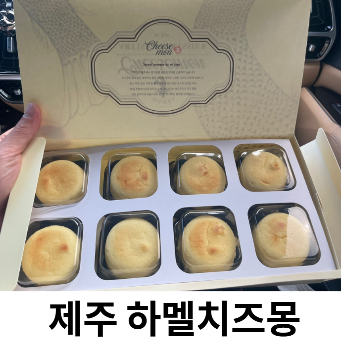  제주 하멜치즈몽 예약 후 구입까지 솔직후기~ 방모루, 김녕해수욕장까지!