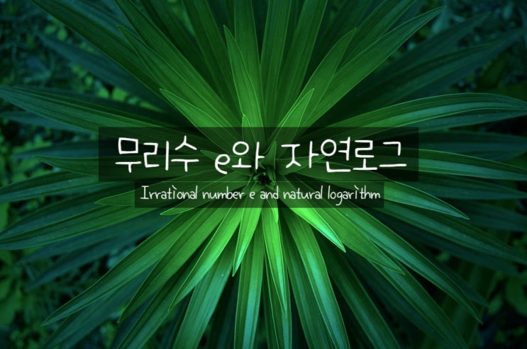  무리수 e와 자연로그 쉽게 이해하기 (극한 증명 포함)