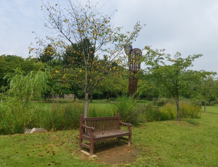 용산가볼만한곳 용산가족공원 힐링 걷기좋은곳 8월말의 모습 용산가볼만한곳 용산가족공원 힐링 걷기좋은곳 8월말의 모습