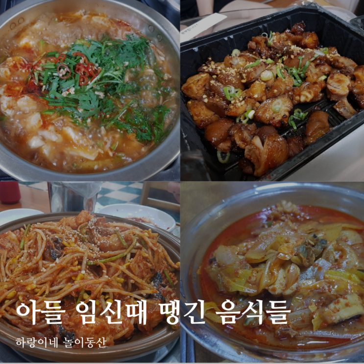  아들 임신 때 땡겼던 음식, 입덧시기와 증상